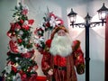 Santa Claus model showcased with Xmas wreath and Xmas tree