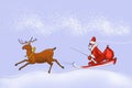 Santa claus in a sledge
