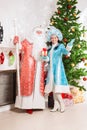 Santa claus and snow maiden Royalty Free Stock Photo