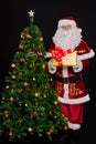 Santa Claus stands next to the Christmas tree and offers a box with a gift Royalty Free Stock Photo