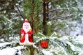 Santa Claus toy and Christmas Gift Box on a natural branch with pine tree needles on the snow background in forest. Royalty Free Stock Photo