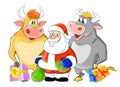 Santa Claus and two bulls