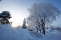 Santa Claus Village, Finland Royalty Free Stock Photo