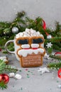 Santa Cookie on Bright Festive Background, Handmade Christmas Treat Royalty Free Stock Photo