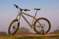 Santa Cruise Chameleon Mountain Bike