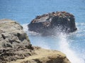 Santa Cruz California Coastline, Ocean Spray View with Sea Lions on Rock Royalty Free Stock Photo