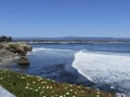 Santa Cruz California Coastline Ocean View with Blooming Flowers Royalty Free Stock Photo