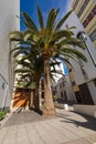 Santa Cruz, capital city of the island La Palma. Traditional architecture. Canary Islands, Spain Royalty Free Stock Photo