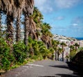 Santa Cruz de Tenerife Royalty Free Stock Photo