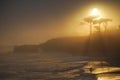 Santa Cruz Sunset in the Fog Royalty Free Stock Photo