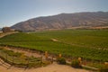 Santa Cruz vineyard, Chile Royalty Free Stock Photo