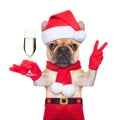 Santa dog Royalty Free Stock Photo