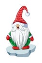 A Santa dwarf in green shirt and wearing Christmas hat