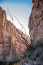 Santa Elena Canyon on the Rio Grand River in Big Bend National Park, Texas Royalty Free Stock Photo