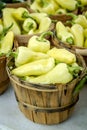 Displays at local farmers market