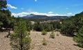 Santa Fe National Forest in New Mexico Royalty Free Stock Photo