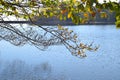 Santa Fe reservoir El Montseny Barcelona