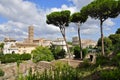 Roman Forum Royalty Free Stock Photo