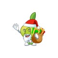 Santa with gift fruit elephant apple cartoon mascot style