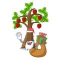 Santa with gift strawberry tree isolated with the cartoon