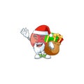 Santa with gift velvet apple mascot on white background