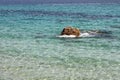 Santa Giusta beach in Sardinia