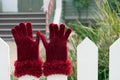 Santa gloves