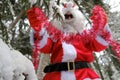 Santa Gloves and Tinsel. Christmas and New Year .Santa Claus decorates a Christmas tree in the winter forest.