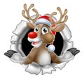 Santa Hat Reindeer Breaking Through Background Royalty Free Stock Photo