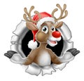 Santa Hat Reindeer Tearing Through Background Royalty Free Stock Photo