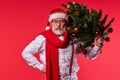 Confident caucasian santa hipster man in white jumper and red hat carrying festal tree Royalty Free Stock Photo