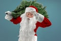 Santa man carrying artificial christmas tree. Christmas, new year, holidays. Bearded man dressed in festive costume of