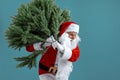 Santa man carrying artificial christmas tree. Christmas, new year, holidays. Bearded man dressed in festive costume of