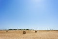 Santa Margalida, Mallorca - Arable land full of hay bales after