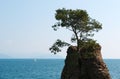 The Rock of Cadrega, Santa Margherita Ligure, Genoa, Liguria, Italy, Italian Riviera, Europe