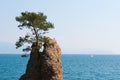 The Rock of Cadrega, Santa Margherita Ligure, Genoa, Liguria, Italy, Italian Riviera, Europe