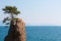 The Rock of Cadrega, Santa Margherita Ligure, Genoa, Liguria, Italy, Italian Riviera, Europe