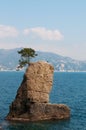 The Rock of Cadrega, Santa Margherita Ligure, Genoa, Liguria, Italy, Italian Riviera, Europe