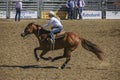 Women races brown horse at Rodeo Santa Maria, CA, USA