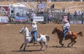 2 cowboys on horses rope calf at Rodeo Santa Maria, CA, USA