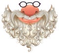 Santa mask. White beard, glasses and nose