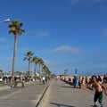 Santa Monica Beach Royalty Free Stock Photo