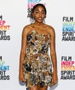 2023 The Film Independent Spirit Awards, Arrivals, Santa Monica, California, USA