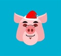 Santa Pig sleep Emoji. Christmas Dream . Piggy with eyes closed.