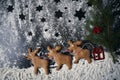 Santa reindeers made of gingerbread cookie Royalty Free Stock Photo