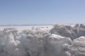 Santa Rides in a Dog Sled on a Frosen Lake