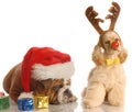 Santa and rudolph dog Royalty Free Stock Photo