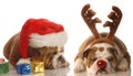 Santa and rudolph dogs Royalty Free Stock Photo
