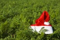 Santa's hat in a farm field Royalty Free Stock Photo