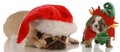 Santa's helpers Royalty Free Stock Photo